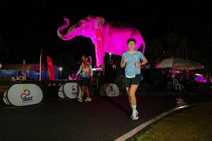 BIB: 
                            <button type="button" onclick="openModal(26542943)" class="btn btn-primary btn-sm float-right btn-popup" data-toggle="modal" data-target=".modal-high-quality">
                        <i class="fas fa-shopping-cart"></i> Add to Cart
                    </button>
                                            <button type="button" onclick="isThisMe(26542943, true)" class="btn btn-success btn-sm float-right btn-popup btn-isme hidden" data-toggle="tooltip" data-placement="bottom" title="นี่คือรูปของคุณใช่ไหม คลิกที่นี่เพื่อเอาเข้าอัลบั้ม">
                        <i class="fas fa-plus"></i> Add to album
                    </button>
                    <button type="button" onclick="isThisMe(26542943, false)" class="btn btn-warning btn-sm float-right btn-popup btn-isnotme hidden">
                        <i class="fas fa-ban"></i> Remove from album
                    </button>